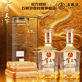 五粮液股份公司出品 一尊天下 盛世佳品 浓香型白酒 52度 500mL*2瓶
