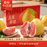 京鲜生 红心蜜柚/柚子 2粒 净重4-5斤 单果2-3斤起 生鲜水果礼盒
