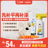 立邦钉眼孔洞修复包基础版墙面抗裂白色 补墙膏100ml+补墙漆500g