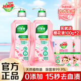 立白好爸爸天然樱花洗衣露除菌去血渍内衣内裤洗衣液健康无刺激 【家用大瓶装】淡雅樱花950g*2瓶