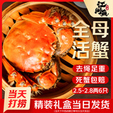 【活蟹】江问鱼 大闸蟹全母2.5两-2.8两 6只装 鲜活螃蟹生鲜礼盒送礼优选去绳足重