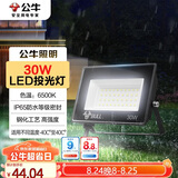 公牛（BULL）LED投光灯户外庭院工厂园林灯露营灯 IP65防水等级30W-6500K白光