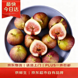京鲜生 糖包子鲜无花果 净重1斤装 生鲜水果