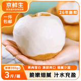 京鲜生正宗山东莱阳秋月梨3斤单果350g+爆汁化渣时令 新鲜水果 源头直发
