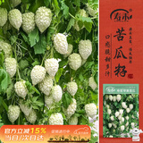 寿禾 苹果苦瓜种子苗白凉瓜不苦脆甜菜种籽 潍丰寿苦苹果苦瓜种子6粒