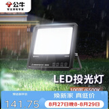 公牛（BULL）LED投光灯庭院灯工地灯园林照明露营灯 IP65防水100W-6500K白光
