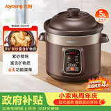 九阳（Joyoung）电炖锅电炖盅5L大容量紫砂预约电砂锅 多功能锅 智能定时精炖煮粥煲汤锅DG50Z-GD510