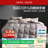 水星家纺羽绒被95%白鹅绒被子冬季加厚冬被芯双人羽绒被220cm×240cm1200g