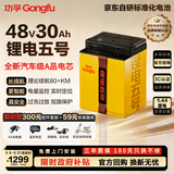 功孚锂电五号电动车锂电池48V30Ah大容量电瓶车电摩电池雅迪爱玛台铃