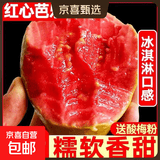 广西红心草莓色番石榴现摘现发应季低脂水果 3斤红心芭乐净重2.8斤