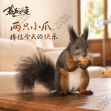 暮秋小主2026头窝家养松鼠活物幼崽宠物雪地黄山金花松鼠活物魔王松鼠活体 三色魔王松鼠幼崽（公母备注）