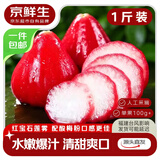 京鲜生 福建红宝石莲雾 净重1斤装3-5个单果100g+ 中秋水果源头直发