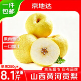 京地达山西黄河贡梨 净重8.1斤 单果250g+ 新鲜水果 源头直发包邮