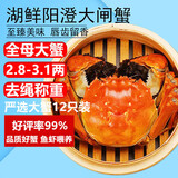 【活蟹】湖鲜阳澄 大闸蟹 去绳足重 全母蟹2.8-3.1两12只 鲜活超大螃蟹中秋海鲜礼盒装