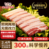 琪金重庆荣昌猪肉熊猫猪冷冻去皮五花肉片1.2kg(400g*3包) 源头直发