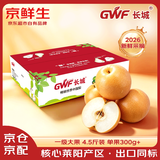 京鲜生 长城羊脂秋月梨 净重4.5斤装 大果5-7粒 单果300g+ 应季中秋水果