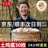 乡公馆土鸡蛋生鲜鸡蛋30枚个正宗农家散养乌鸡蛋有机鸡蛋新鲜柴草笨鸡蛋 土鸡蛋30枚 整箱1.2kg