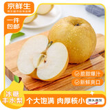 京鲜生山东丰水梨 大果净重4.8斤单果350g+ 生鲜水果 源头直发包邮