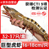 云储生活黑虎虾特大号鲜活冷冻新鲜斑节虾海虾虾类生鲜2030规格 净重2.5斤