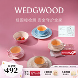 Wedgwood欢愉假日咖啡杯碟陶瓷茶杯碟高颜值杯碟情侣杯 欢愉假日2杯2碟（粉+蓝）