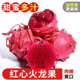 探味君 红心火龙果 5斤净重4.5斤 新鲜水果生鲜果300-400g