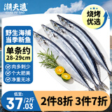 潮夫道秋刀鱼净重2斤野生海捕高蛋白冷冻生鲜烧烤食材深海鱼类纯鱼肉