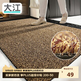 大江入户门地垫脚垫户外门口地毯硬丝进门垫57x87cm