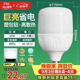 佛山照明大功率LED灯泡30W节能灯具E27螺口6500K白光柱形