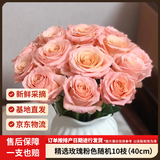京东鲜花玫瑰花粉色随机10枝40cm起发如意基地鲜切花生活花束山东源头直发