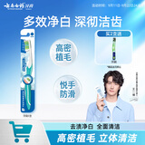 云南白药多效美白基础系列立体清洁软毛成人牙刷 单支装
