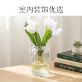 极度空间 玻璃花瓶插花瓶绿植物水培养生态瓶养花容器装饰摆件