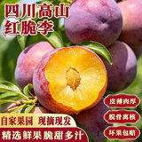 庾丰 当季四川脆骨李子 新鲜水果整箱 孕妇红脆李  中秋团购送礼 5斤装（净果4.5斤）单果18g+ 颗颗甄选 产地直发