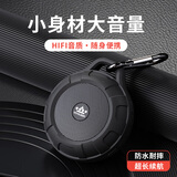 朗琴（ROYQUEEN）T350蓝牙音箱无线迷你便携式低音炮户外小音响防水手机音响插卡户外骑行音箱FM收音机 魅惑黑 纪念版 官方标配