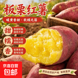 正宗板栗红薯新鲜沙地鸡蛋黄心蜜薯无丝地瓜早餐粗粮代餐宝宝辅食 新鲜板栗红薯 大果3两起 5斤含箱【划算】