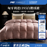 安睡宝（SOMERELLE）家纺羽绒被95%进口大朵白鹅绒被子春秋被冬被保暖被芯鹅绒被 【A类+鎏金提花+匈牙利进口95白鹅绒】春秋被-豆沙粉 【200*230cm】