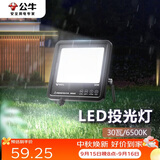 公牛（BULL）LED投光灯路灯庭院灯工地灯露营灯 IP65防水高亮度30W-6500K白光