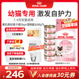 皇家猫粮 离乳期幼猫粮干湿套装BK34 2KG+幼猫湿粮罐头BMC 88g*6