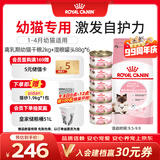 皇家猫粮 离乳期幼猫粮干湿套装BK34 2KG+幼猫湿粮罐头BMC 88g*6