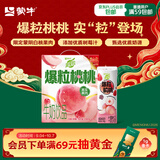 蒙牛真果粒白桃树莓味牛奶饮品240g×10盒 龚俊同款 中秋送礼礼盒