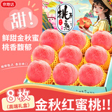 京地达桃子江苏金秋红蜜礼盒净重4.4斤单果250g水蜜桃新鲜水果源头直发