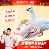 温氏广东农养番鸭净重4斤 端午聚餐 冷冻生鲜鸭肉土鸭子姜母鸭 慢养