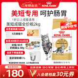 皇家猫粮 美短成猫粮 ASA31 通用粮 12月以上 2KG