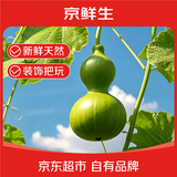 京鲜生云南新鲜葫芦 中果1个 鲜果观赏植物桌面装饰福禄源头直发包邮