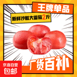 山东新鲜沙瓤大番茄西红柿减肥早餐即食新鲜蔬菜生鲜单果＞100g 畅销装 2斤 带箱