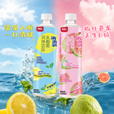 界界乐芭乐+柠檬薄荷味 乳酸菌风味果蔬汁 500ml*6瓶 中秋送礼混合装