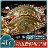 辰鲜派【冰鲜】辰鲜派舟山海捕梭子蟹4-6两/只4斤冰鲜 26年新蟹 源头直发