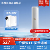 滨特尔（pentair） 饮水机家用净水器台上免安装反渗透过滤即热净饮一体净水机DP1-06滤芯 二级反渗透滤芯