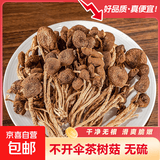 正宗古田不开伞茶树菇农家精选特产新鲜菌菇食材茶树菇干货食用菌 净重不开伞茶树菇250g 【不开伞茶树菇】