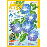 博物 2024年8月号 主题：牵牛花 “喇叭花”大盘点 中国国家地理青春少年版 博物君探索自然奥秘