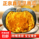京喜加百万复购贝贝南瓜板栗味小南瓜正宗新鲜粉糯香甜单果100g起 贝贝南瓜 1斤 活动款 小果